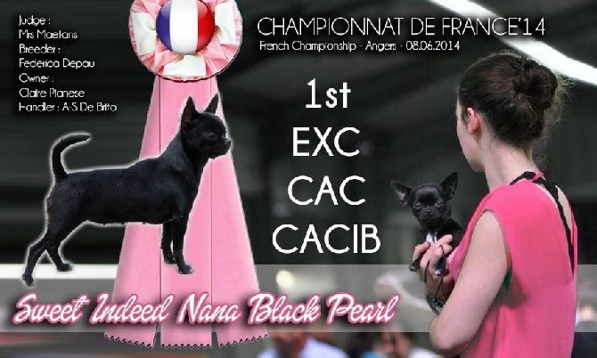 Apple Of Love - CHAMPIONNAT DE FRANCE 2014